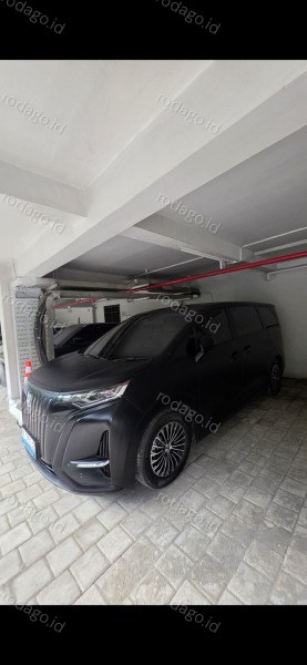 DENZA D9 Luxury VIP 7-Seater Bali 