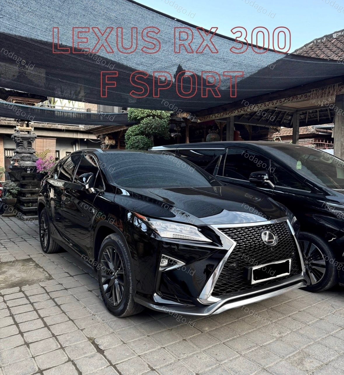 Lexus RX 300